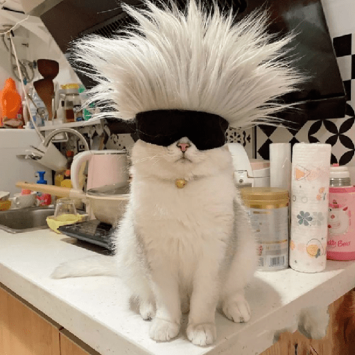 Gatinhos 7