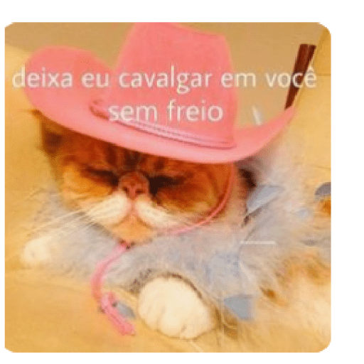 Flertes 16
