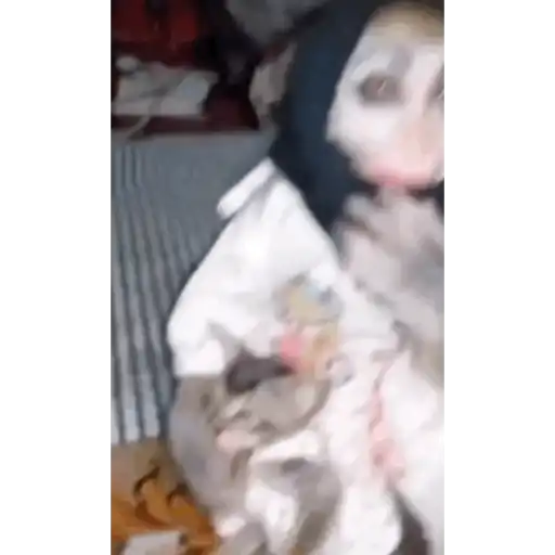 Monkeydonkey 1
