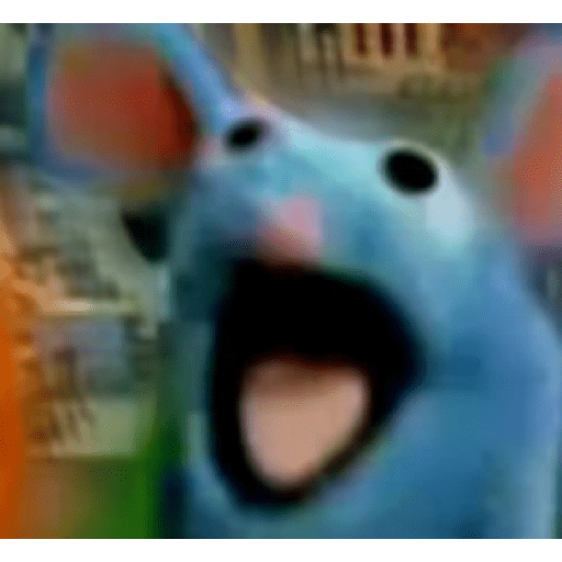 Rat 8