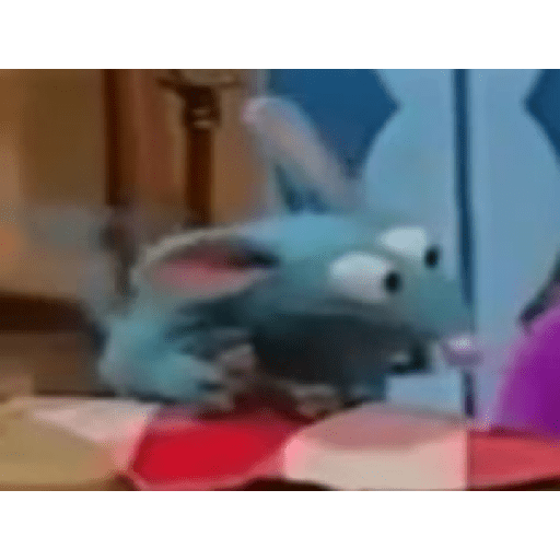 Rat 6
