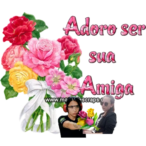 Minhas figurinhas 6
