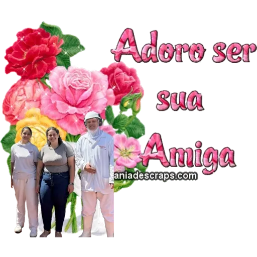 Minhas figurinhas 5