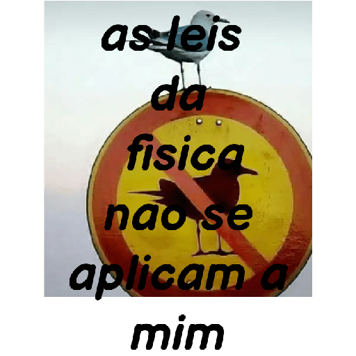 Puro meme 17