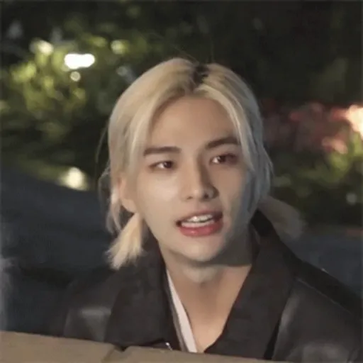 SKZ animados.4 14