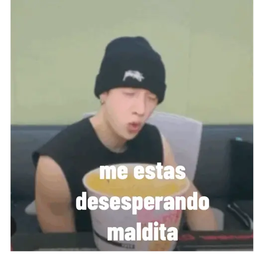 SKZ animados.4 12