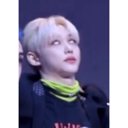Stray Kids.35