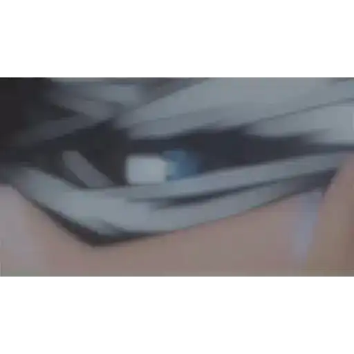 Animados 8