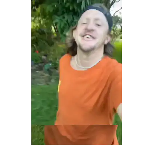 Animados 4