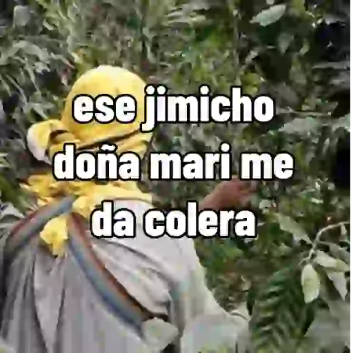 Límmiði
