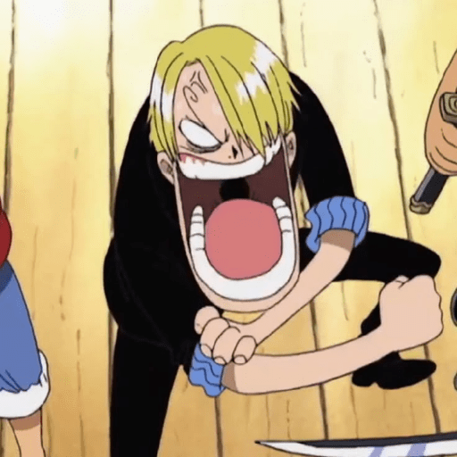 One piece 29