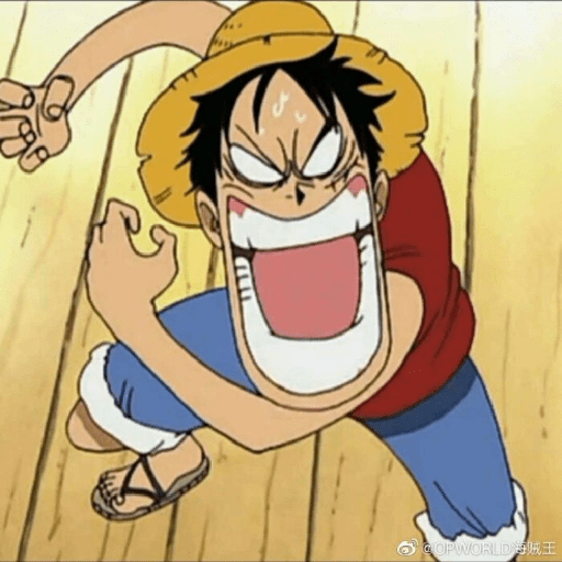One piece 28
