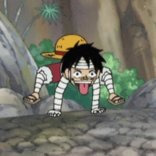 One piece 24