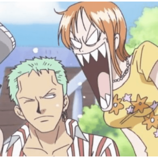 One piece 23