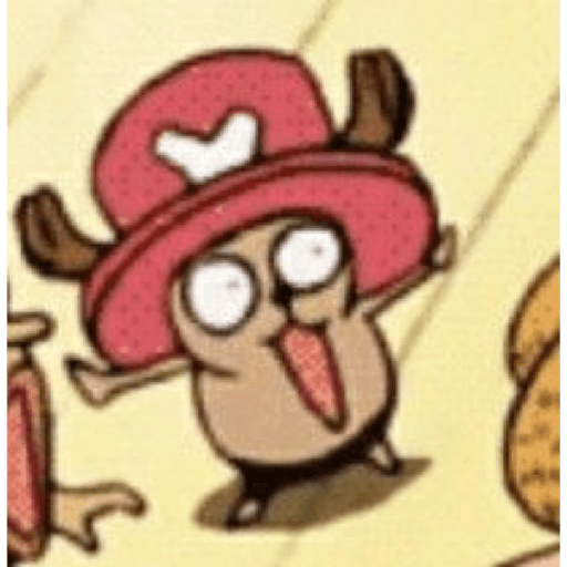 One piece 19