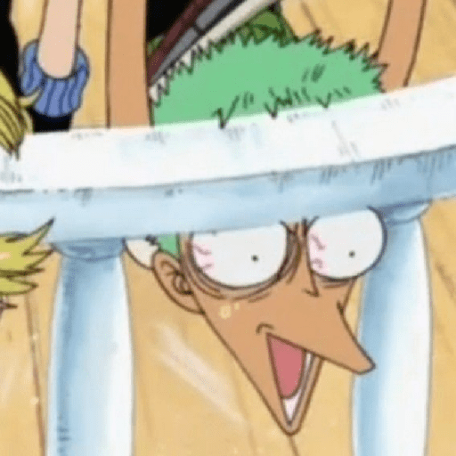 One piece 15