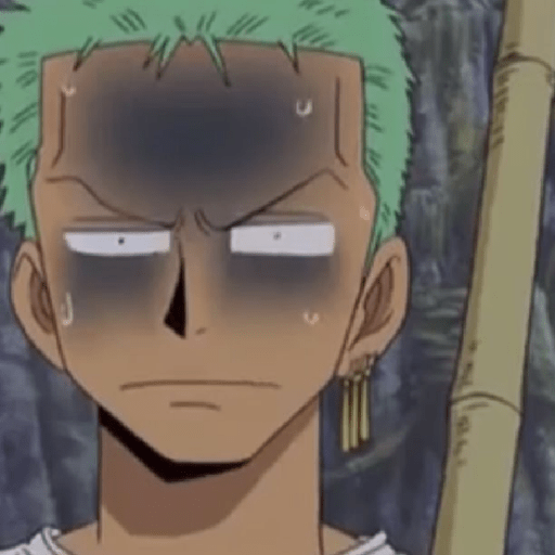 One piece 13