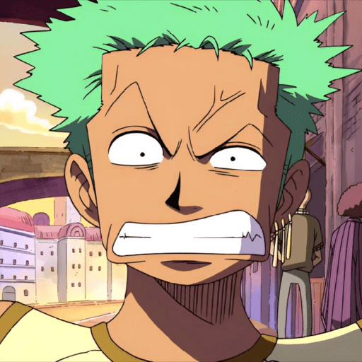 One piece 12