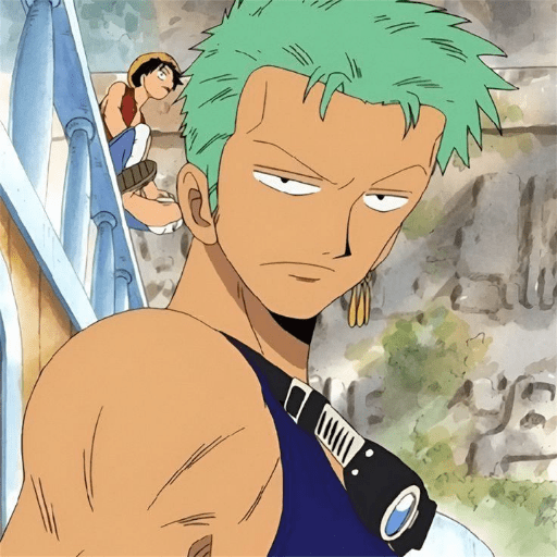 One piece 11