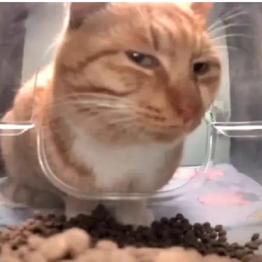 Gifs 11