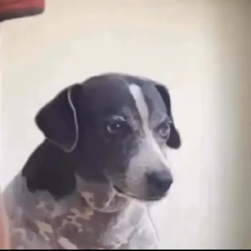 Gifs 16
