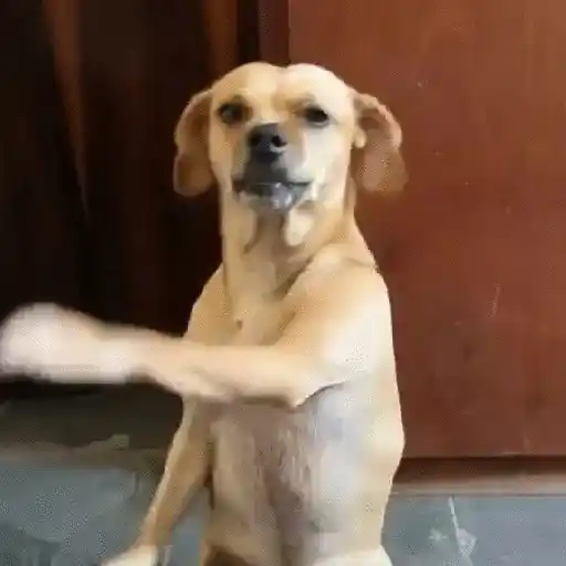 Gifs 14