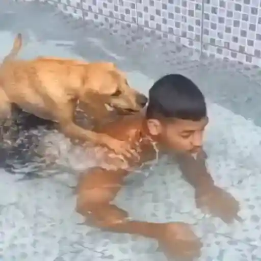 Gifs 2