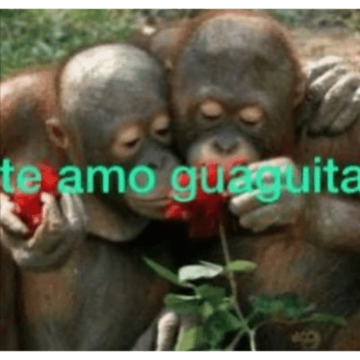 Changuitos 