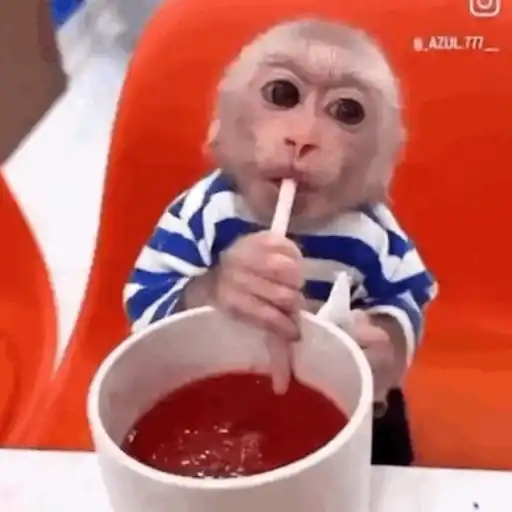 Monoooooo 8