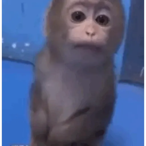 Monoooooo 9