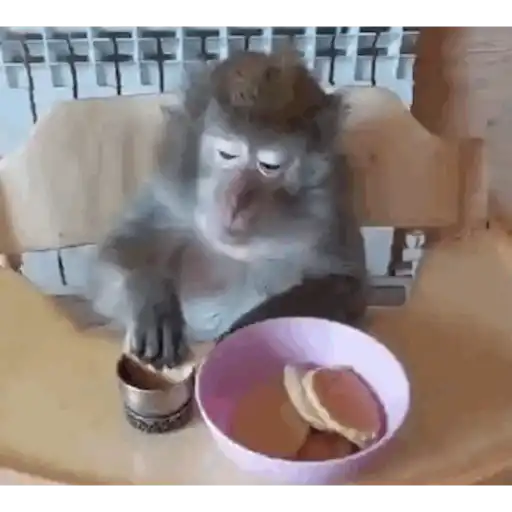 Monoooooo 7
