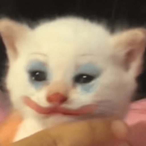 Gatitos meme 😸✨ 1