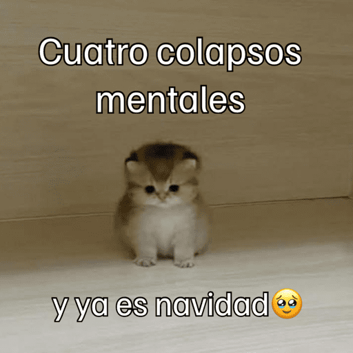 Gatitos meme 😸✨ 18