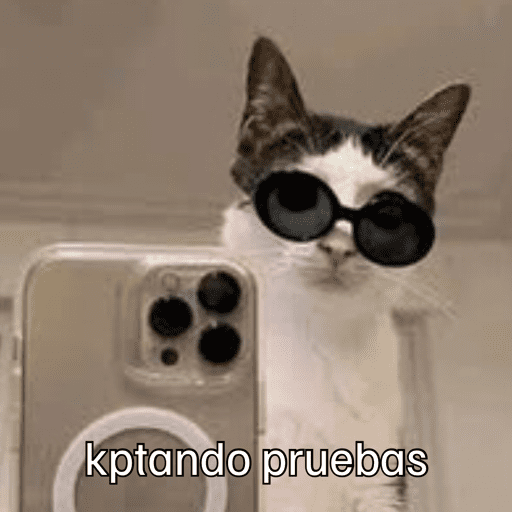 Gatitos meme 😸✨ 30