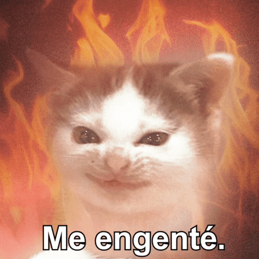 Gatitos meme 😸✨ 6