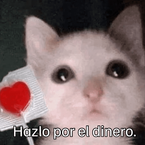 Gatitos meme 😸✨ 24