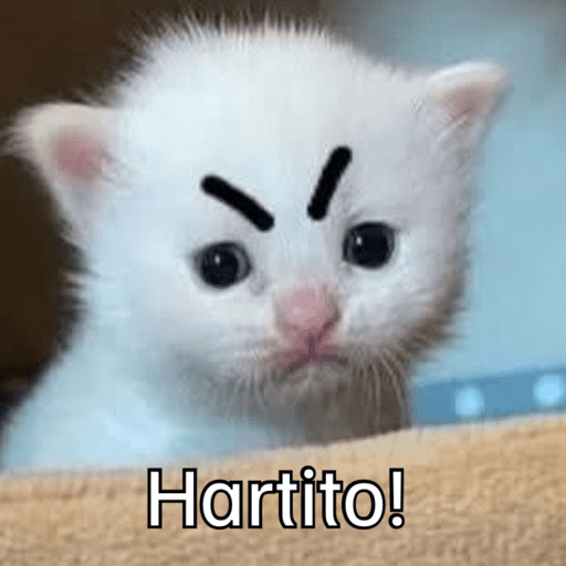 Gatitos meme 😸✨ 2