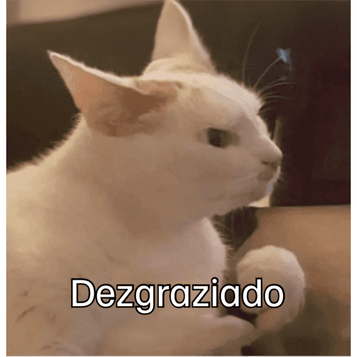 Gatitos meme 😸✨ 25