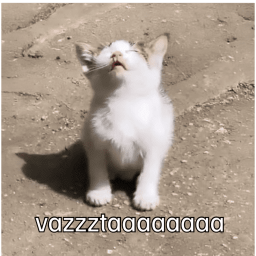 Gatitos meme 😸✨ 28