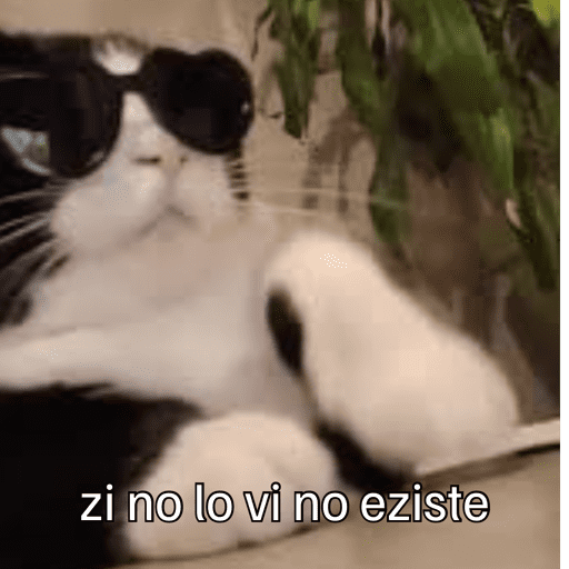 Gatitos meme 😸✨ 29