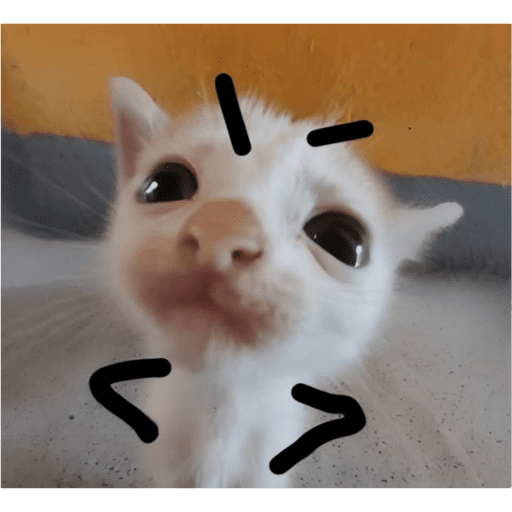 Gatitos meme 😸✨ 3