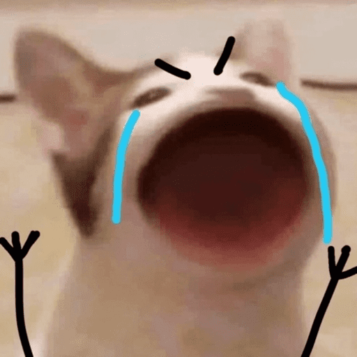 Gatitos meme 😸✨ 4