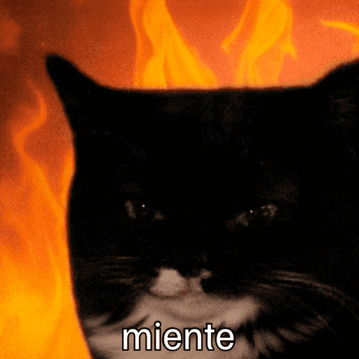 Gatitos meme 😸✨ 26