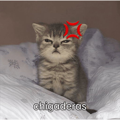 Gatitos meme 😸✨ 27