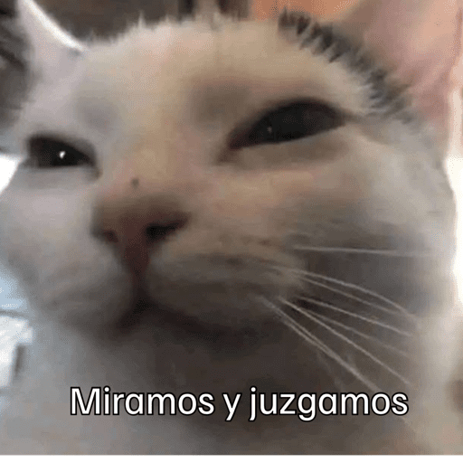 Gatitos meme 😸✨ 8