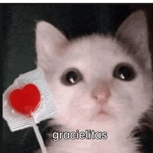 Gatitos meme 😸✨ 5