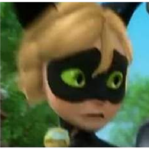 Miraculous Ladybug 20