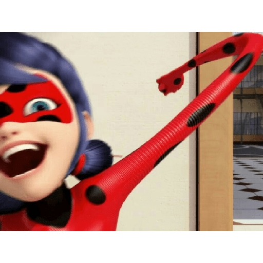 Miraculous Ladybug 29