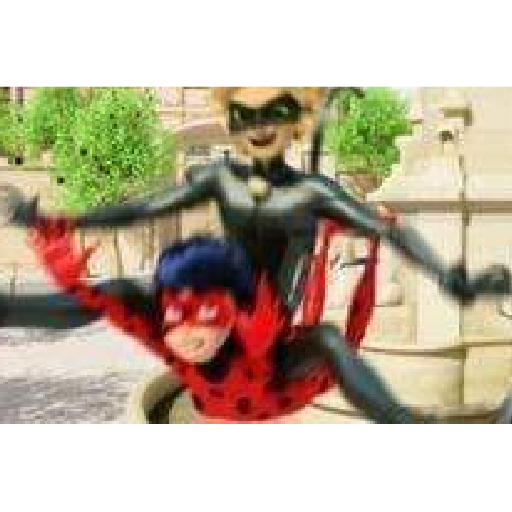 Miraculous Ladybug 13