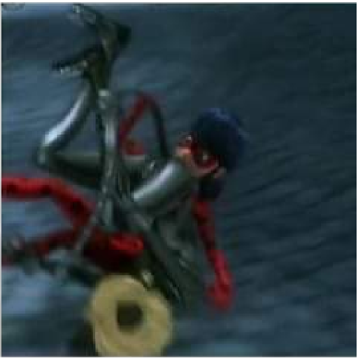 Miraculous Ladybug 14